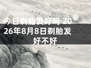 今日剃胎发好吗 2026年8月8日剃胎发好不好