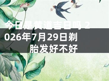 今日是黄道吉日吗 2026年7月29日剃胎发好不好