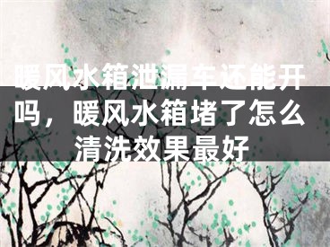 暖风水箱泄漏车还能开吗，暖风水箱堵了怎么清洗效果最好