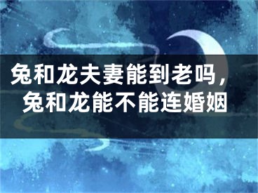 兔和龙夫妻能到老吗，兔和龙能不能连婚姻