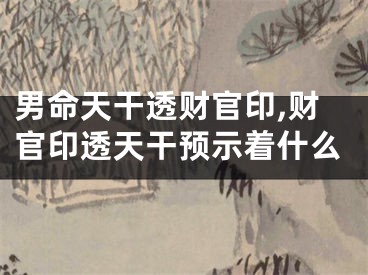男命天干透财官印,财官印透天干预示着什么