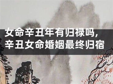 女命辛丑年有归禄吗,辛丑女命婚姻最终归宿