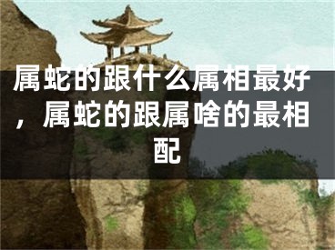 属蛇的跟什么属相最好，属蛇的跟属啥的最相配