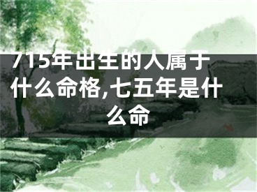 715年出生的人属于什么命格,七五年是什么命