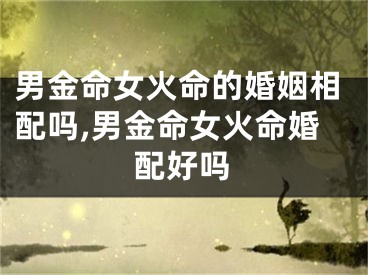 男金命女火命的婚姻相配吗,男金命女火命婚配好吗