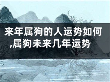 来年属狗的人运势如何,属狗未来几年运势
