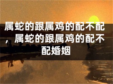 属蛇的跟属鸡的配不配，属蛇的跟属鸡的配不配婚姻
