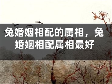 兔婚姻相配的属相，兔婚姻相配属相最好