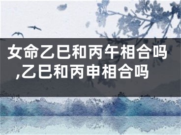 女命乙巳和丙午相合吗,乙巳和丙申相合吗