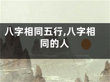 八字相同五行,八字相同的人