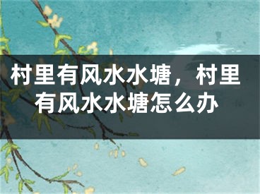 村里有风水水塘，村里有风水水塘怎么办