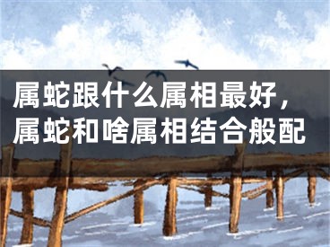 属蛇跟什么属相最好，属蛇和啥属相结合般配