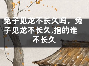 兔子见龙不长久吗，兔子见龙不长久,指的谁不长久