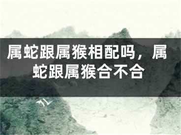 属蛇跟属猴相配吗，属蛇跟属猴合不合