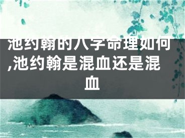 池约翰的八字命理如何,池约翰是混血还是混血