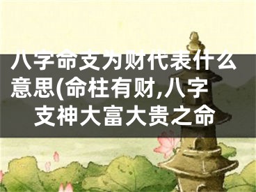 八字命支为财代表什么意思(命柱有财,八字支神大富大贵之命