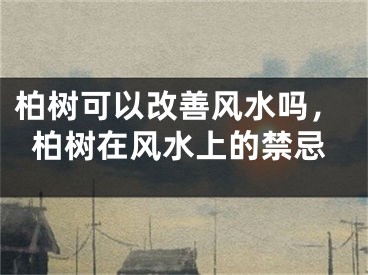 柏树可以改善风水吗，柏树在风水上的禁忌