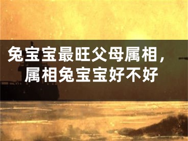 兔宝宝最旺父母属相，属相兔宝宝好不好