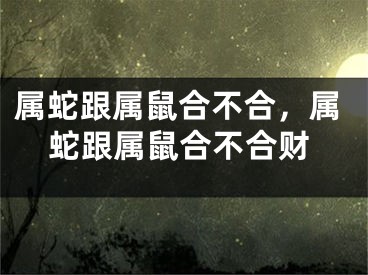 属蛇跟属鼠合不合，属蛇跟属鼠合不合财