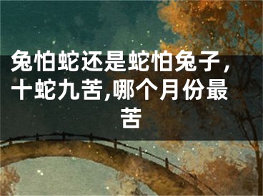 兔怕蛇还是蛇怕兔子，十蛇九苦,哪个月份最苦