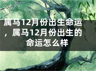 属马12月份出生命运，属马12月份出生的命运怎么样