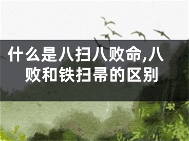 什么是八扫八败命,八败和铁扫帚的区别