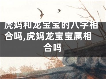 虎妈和龙宝宝的八字相合吗,虎妈龙宝宝属相合吗