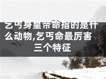 乞丐身皇帝命指的是什么动物,乞丐命最厉害三个特征