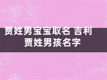 贾姓男宝宝取名 吉利贾姓男孩名字