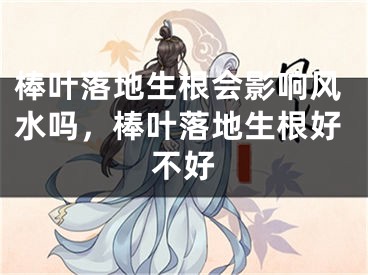 棒叶落地生根会影响风水吗，棒叶落地生根好不好