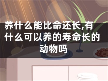 养什么能比命还长,有什么可以养的寿命长的动物吗