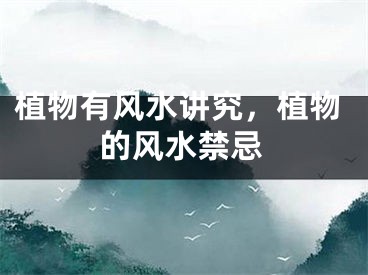植物有风水讲究，植物的风水禁忌