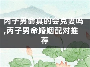丙子男命真的会克妻吗,丙子男命婚姻配对推荐