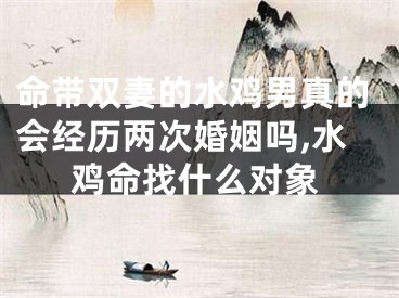 命带双妻的水鸡男真的会经历两次婚姻吗,水鸡命找什么对象