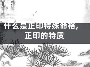 什么是正印特殊命格,正印的特质