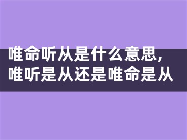 唯命听从是什么意思,唯听是从还是唯命是从