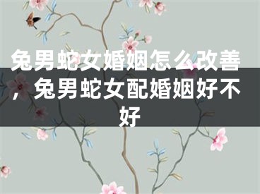 兔男蛇女婚姻怎么改善，兔男蛇女配婚姻好不好