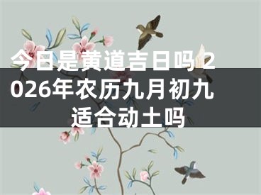 今日是黄道吉日吗 2026年农历九月初九适合动土吗