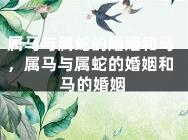 属马与属蛇的婚姻和马，属马与属蛇的婚姻和马的婚姻