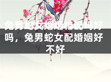 兔男蛇女婚姻相配吗好吗，兔男蛇女配婚姻好不好