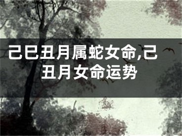 己巳丑月属蛇女命,己丑月女命运势