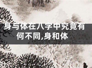 身与体在八字中究竟有何不同,身和体
