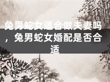 兔男蛇女适合做夫妻吗，兔男蛇女婚配是否合适
