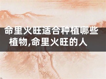命里火旺适合种植哪些植物,命里火旺的人