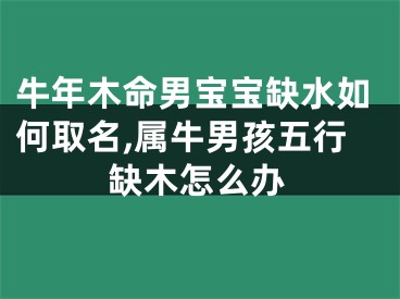 牛年木命男宝宝缺水如何取名,属牛男孩五行缺木怎么办