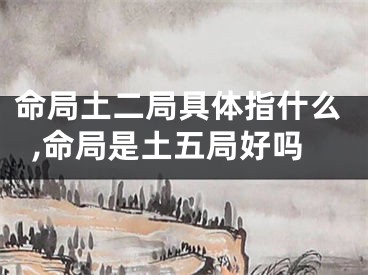 命局土二局具体指什么,命局是土五局好吗