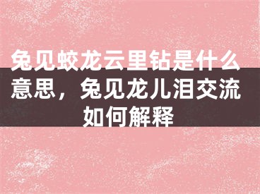 兔见蛟龙云里钻是什么意思,兔见龙儿泪交流如何解释