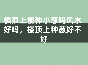 楼顶上能种小葱吗风水好吗，楼顶上种葱好不好