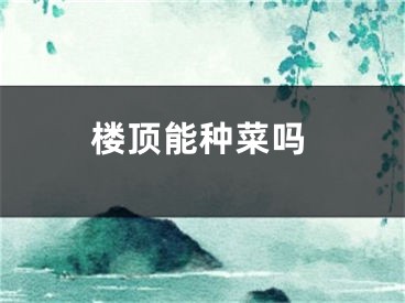 楼顶能种菜吗