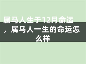 属马人生于12月命运，属马人一生的命运怎么样
